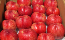 長野市産ネクタリン「サマークリスタル」約4kg（18～25個）