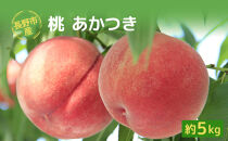 長野市産桃「あかつき」約5kg（11～18個）