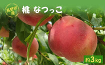 長野市産桃「なつっこ」約3kg(8~10個）