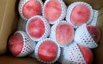 長野市産桃「なつっこ」約3kg(8~10個）