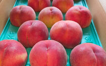 長野市産桃「なつっこ」約5kg(10～16個）