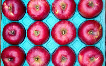 長野市産「紅玉」約2.7kg(9玉~14玉入り）