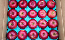 長野市産「紅玉」約4.5kg&nbsp;（18～22玉）