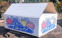 長野市産「紅玉」約4.5kg&nbsp;（18～22玉）