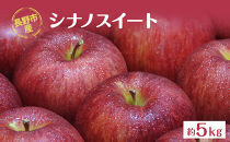 長野市産「シナノスイート」約5kg&nbsp;(11~16玉）