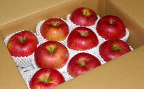 長野市産「シナノスイート」約5kg&nbsp;(11~16玉）