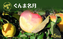 長野市産「ぐんま名月」約5kg（12-18玉）