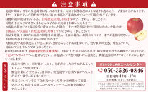 長野市産「サンふじ」約3kg（8～10玉）