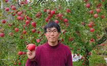 長野市産「サンふじ」約5kg（10～18玉）