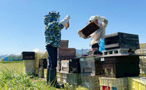 りんごはちみつ　200g3本