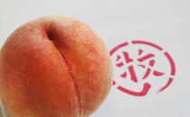 川中島白桃約３kg（8～10玉）