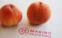 川中島白桃約３kg（8～10玉）