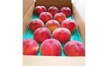 川中島白桃約５kg（10～16玉）