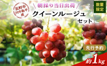 クイーンルージュ　約1kg（2房）