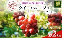 クイーンルージュ　約2kg（4～５房）