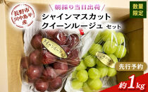 【セット】シャインマスカット、クイーンルージュセット　約1kg（2房）