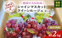 【セット】シャインマスカット、クイーンルージュセット　約2kg（４～５房）