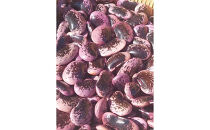 長野市産紫花豆甘煮はなまめはなこ(R)　140g　計２袋入り