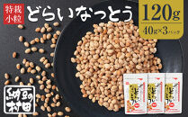 【セット】ドライ納豆/ドライ納豆セット/ドライ納豆詰め合わせ&nbsp;|&nbsp;&nbsp;納豆&nbsp;セット&nbsp;大豆&nbsp;発酵食品&nbsp;健康&nbsp;おかず&nbsp;おすすめ&nbsp;人気&nbsp;送料無料&nbsp;長野県&nbsp;長野市&nbsp;信州&nbsp;信濃&nbsp;ふるさと納税