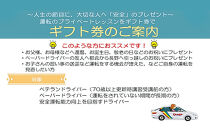 ドリームモータースクール&nbsp;プライベートレッスン&nbsp;GIFT&nbsp;TICKET&nbsp;(昭和校限定）1時間分×2枚