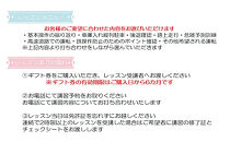 ドリームモータースクール&nbsp;プライベートレッスン&nbsp;GIFT&nbsp;TICKET(昭和校限定）&nbsp;1時間分×4枚