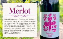 Merlot　（ワイン）