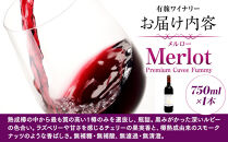 Merlot&nbsp;Premium&nbsp;Cuvee&nbsp;Fummy　（ワイン）