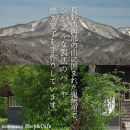 ソノマノ&nbsp;野生酵母パンおまかせセット（4～6個くらい）