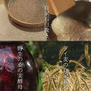 ソノマノ&nbsp;野生酵母パンおまかせセット（4～6個くらい）