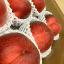 【先行予約】川中島の桃&nbsp;約2kg&nbsp;品種おまかせ&nbsp;&nbsp;7月下旬～8月上旬発送予定