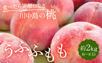 すーさんの果樹屋　【先行予約】川中島の桃&nbsp;約2kg&nbsp;品種おまかせ&nbsp;&nbsp;7月下旬～8月上旬発送予定&nbsp;|&nbsp;桃&nbsp;もも&nbsp;フルーツ&nbsp;果実&nbsp;&nbsp;人気&nbsp;おすすめ&nbsp;ギフト&nbsp;産地直送&nbsp;送料無料&nbsp;長野県&nbsp;長野市&nbsp;信州&nbsp;信濃&nbsp;ふるさと納税