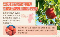 すーさんの果樹屋　【先行予約】川中島の桃&nbsp;約2kg&nbsp;品種おまかせ&nbsp;&nbsp;7月下旬～8月上旬発送予定&nbsp;|&nbsp;桃&nbsp;もも&nbsp;フルーツ&nbsp;果実&nbsp;&nbsp;人気&nbsp;おすすめ&nbsp;ギフト&nbsp;産地直送&nbsp;送料無料&nbsp;長野県&nbsp;長野市&nbsp;信州&nbsp;信濃&nbsp;ふるさと納税