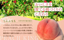 すーさんの果樹屋　【先行予約】川中島の桃&nbsp;約2kg&nbsp;品種おまかせ&nbsp;&nbsp;7月下旬～8月上旬発送予定&nbsp;|&nbsp;桃&nbsp;もも&nbsp;フルーツ&nbsp;果実&nbsp;&nbsp;人気&nbsp;おすすめ&nbsp;ギフト&nbsp;産地直送&nbsp;送料無料&nbsp;長野県&nbsp;長野市&nbsp;信州&nbsp;信濃&nbsp;ふるさと納税