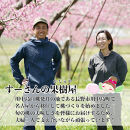 【先行予約】川中島の桃&nbsp;約2kg&nbsp;品種おまかせ&nbsp;&nbsp;8月中旬～8月下旬発送予定