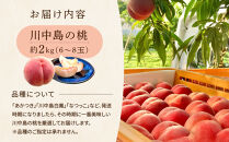 すーさんの果樹屋　【先行予約】川中島の桃&nbsp;約2kg&nbsp;品種おまかせ&nbsp;&nbsp;8月中旬～8月下旬発送予定&nbsp;|&nbsp;桃&nbsp;もも&nbsp;フルーツ&nbsp;果実&nbsp;&nbsp;人気&nbsp;おすすめ&nbsp;ギフト&nbsp;産地直送&nbsp;送料無料&nbsp;長野県&nbsp;長野市&nbsp;信州&nbsp;信濃&nbsp;ふるさと納税