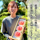 【先行予約】川中島の桃&nbsp;大玉3玉&nbsp;品種おまかせ&nbsp;7月下旬～8月上旬発送予定