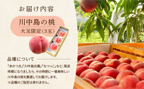 すーさんの果樹屋　【先行予約】川中島の桃&nbsp;大玉3玉&nbsp;品種おまかせ&nbsp;7月下旬～8月上旬発送予定&nbsp;|&nbsp;桃&nbsp;もも&nbsp;フルーツ&nbsp;果実&nbsp;&nbsp;人気&nbsp;おすすめ&nbsp;ギフト&nbsp;産地直送&nbsp;送料無料&nbsp;長野県&nbsp;長野市&nbsp;信州&nbsp;信濃&nbsp;ふるさと納税