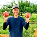 【先行予約】川中島の桃&nbsp;大玉3玉&nbsp;品種おまかせ&nbsp;8月中旬～8月下旬発送予定