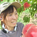 【先行予約】川中島の桃&nbsp;大玉3玉&nbsp;品種おまかせ&nbsp;8月中旬～8月下旬発送予定