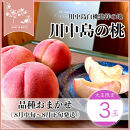【先行予約】川中島の桃&nbsp;大玉3玉&nbsp;品種おまかせ&nbsp;8月中旬～8月下旬発送予定