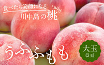 すーさんの果樹屋　【先行予約】川中島の桃&nbsp;大玉3玉&nbsp;品種おまかせ&nbsp;8月中旬～8月下旬発送予定&nbsp;|&nbsp;桃&nbsp;もも&nbsp;フルーツ&nbsp;果実&nbsp;&nbsp;人気&nbsp;おすすめ&nbsp;ギフト&nbsp;産地直送&nbsp;送料無料&nbsp;長野県&nbsp;長野市&nbsp;信州&nbsp;信濃&nbsp;ふるさと納税