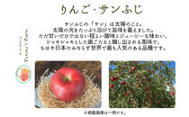 生産農家直送&nbsp;人にやさしい&nbsp;長沼りんご・サンふじ10kg（訳ありご家庭用）