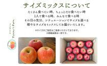 生産農家直送&nbsp;人にやさしい&nbsp;長沼りんご・サンふじ10kg（訳ありご家庭用）