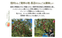 生産農家直送&nbsp;人にやさしい&nbsp;長沼りんご・サンふじ10kg（訳ありご家庭用）