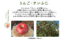 生産農家直送&nbsp;人にやさしい&nbsp;長沼りんご・サンふじ3kg（ご家庭用）