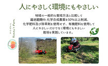 生産農家直送&nbsp;人にやさしい&nbsp;長沼りんご・サンふじ3kg（ご家庭用）