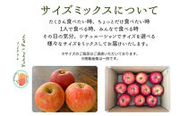 生産農家直送&nbsp;人にやさしい&nbsp;長沼りんご・サンふじ3kg（ご家庭用）