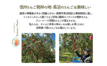 生産農家直送&nbsp;人にやさしい&nbsp;長沼りんご・サンふじ3kg（ご家庭用）