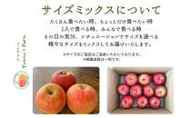 生産農家直送&nbsp;人にやさしい&nbsp;長沼りんご・サンふじ5kg（ご家庭用）