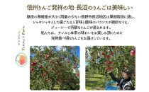 生産農家直送&nbsp;人にやさしい&nbsp;長沼りんご・サンふじ5kg（ご家庭用）